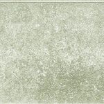typeF_shirasu