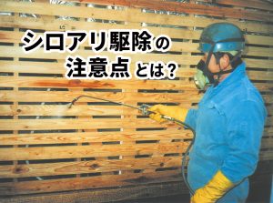 シロアリ駆除の注意点