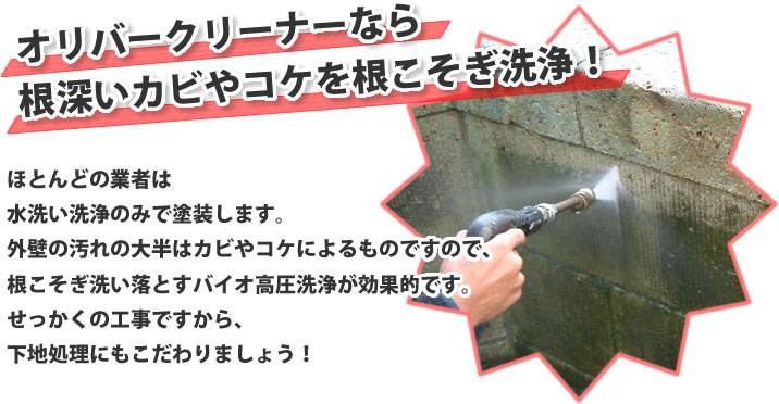 オリバークリーナーなら根深いカビやコケを根こそぎ洗浄!
